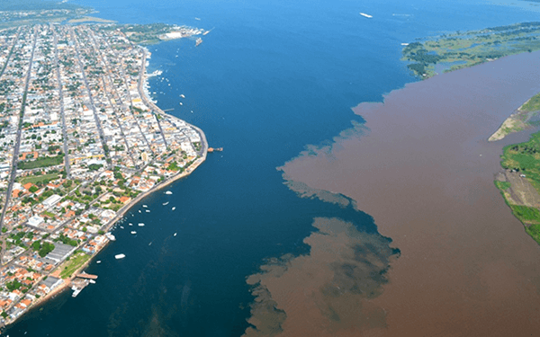Encontro das Águas: o Passeio mais Famoso de Manaus
