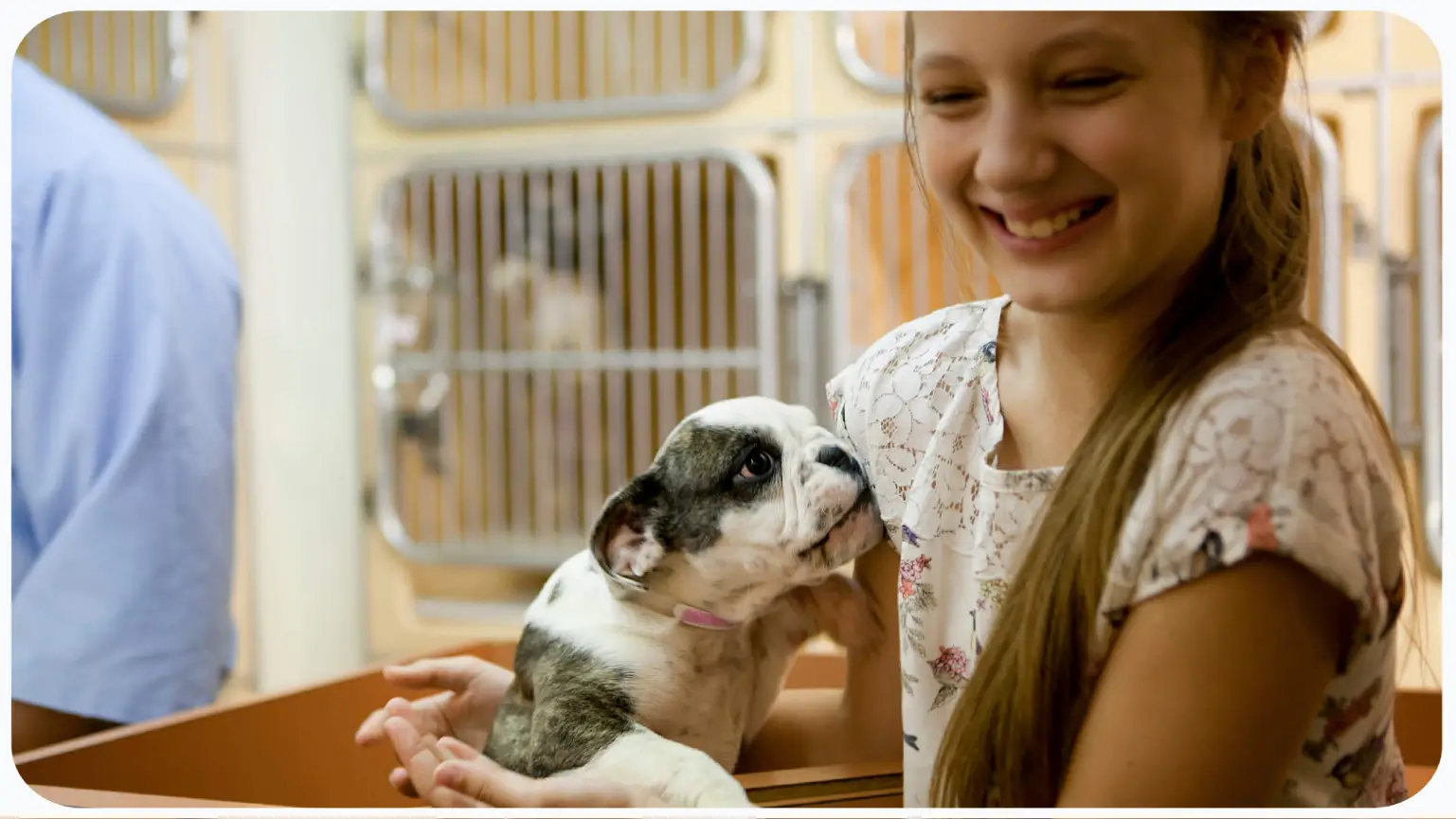 Aplicativos para Adoção de Animais